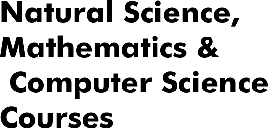 Mathematical Fundamentals and Information